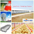 Poultry Farm Equipment with Design and Construction in One Stop